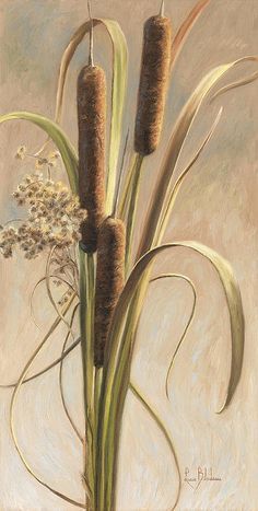 Painting Cattails, Cattails Painting, Ranch Art, Paint Birds, Sea Oats, Cat Tails, Victorian Boots, Art Pics, Wheat Fields