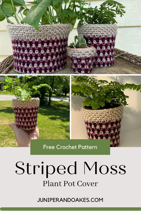 Striped Moss Plant Pot Cover | FREE Crochet Pattern — Juniper & Oakes Crochet Planter Cover, Crochet Plant Pot, Crochet Planter, Crochet Plant Hanger, Planter Cover, Moss Plant, Crazy Plant Lady, Hanging Plant Wall, Plant Pot Covers