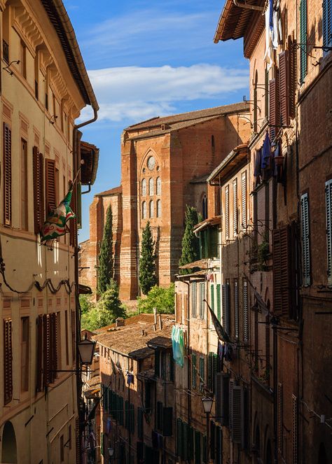 Siena, Italy (by dimitris mimaros) Sienna Italy, European Road Trip, Palermo Sicily, Siena Italy, Italian Village, Verona Italy, Italian Countryside, Venice Travel, Italy Aesthetic