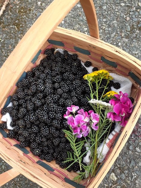 Freshly picked blackberries from Washington state also some wildflowers Washington State Food, Blackberry Picking Aesthetic, Blackberry Aesthetic, Washington State Aesthetic, Clara Core, Seattle Living, Aurora Aesthetic, Blackberry Sangria, Blackberry Plants