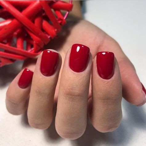 2311249896 Red Fall Gel Nails, Short Red Shellac Nails, Short Xmas Nails Red, Red Hot Nails, Short Gel Nails Red, Red Nails Shellac, Red Gel Nails Short, Winter Nails Solid Color, Red Nails Acrylic Short