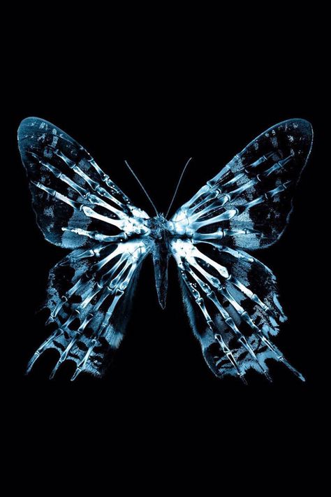 Xray butterfly Fringe Tv Series, Xray Art, Art Papillon, Desain Editorial, Fringe Fashion, Image 3d, Butterfly Effect, Butterfly Wallpaper, A Butterfly