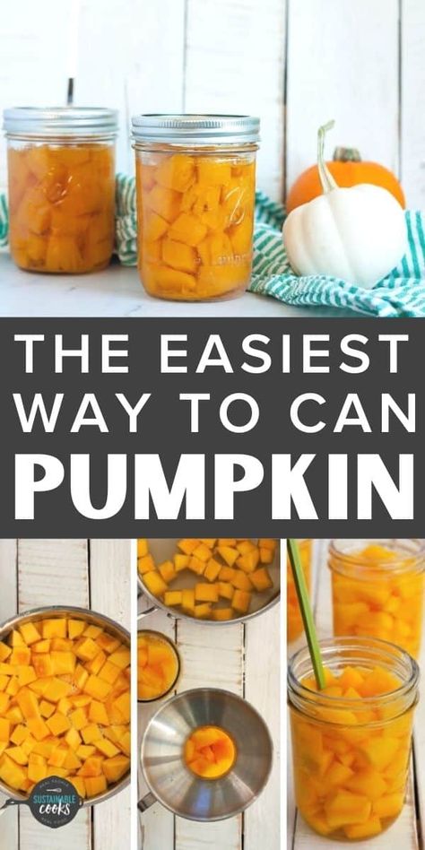 Canning Pumpkin Puree, Canning Pumpkin, Canning Squash, Preserving Pumpkins, Can Pumpkin, Pressure Canning Recipes, Canning Fruit, Frozen Pumpkin, Home Canning Recipes