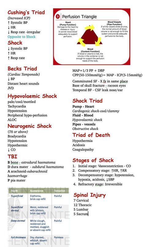 Paramedic School Essentials, Emt Study Medical Mnemonics, Emt Basic Medications, Paramedic Study Guide, Emt Study Guide, Emt Basic Notes, Emt Study Tips, Critical Care Paramedic, Hepatic Encephalitis