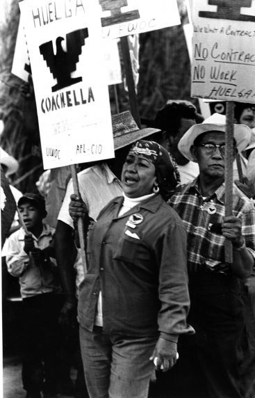 (5872) Grape Boycott pickets Multimedia Portfolio, Cesar Chavez Day, Visual Rhetoric, Second Grade Books, Chicano Studies, Mexican American Culture, Labor Movement, Mexico Aesthetic, Mexican Pride