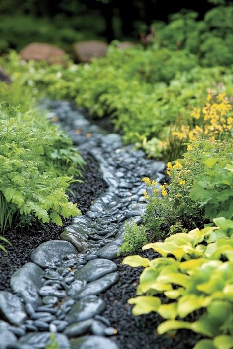 Capture rainwater and support local ecosystems with a rain garden. Find out how to design and plant a rain garden that benefits both your yard and the environment. 🌧️🌻 #RainGarden #WaterConservation #SustainableLandscaping Native Plant Rain Garden, Residential Rain Garden, Rain Basin, Ecosystem Garden, Rainscaping Ideas, Rainwater Garden, Rain Garden Landscape, Pathway Design, Rain Garden Design