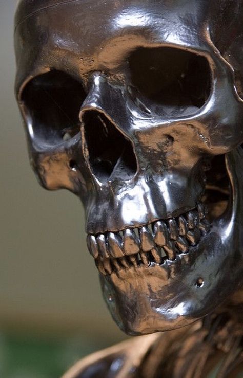 Metallic Sculpture, Skull Smile, Edinburgh Zoo, Dead Can Dance, Skull Reference, Skull Sculpture, Metal Skull, Human Skeleton, Skeleton Bones