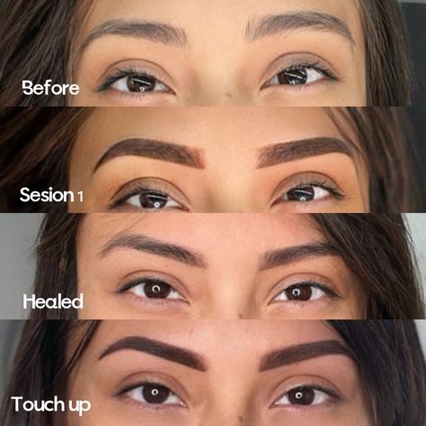 The EVOLUTION of POWDERED BROWS 🔥 Before ➡️ Right after first session ➡️ Healed after first session ➡️ Touch up 6 weeks later. To book TRAINING / APPOINTMENT-> https://beautyvibe.glossgenius.com Powder Brows Before And After, Ombré Eyebrows, Powdered Brows, Ombre Eyebrows, Powder Brows, Touch Up, Glow Up?, Enchanted, Eyebrows