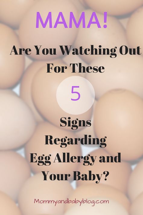 What To Watch Out For Regarding Egg Allergy in Babies.  Mama, are you watching out for these signs in your baby. This post will give you some signs of egg allergy and allergies in babies and what to look out for. Egg intolerance is also something to watch out for as well. Take note of these egg allergy signs. Egg Allergy Recipes Kids, Egg Allergy Symptoms, Egg Allergy Recipes, 8 Month Old Baby Food, Egg Alternatives, Kindergarten Lunch, Egg Lunch, Baby Breakfast, Egg Allergy