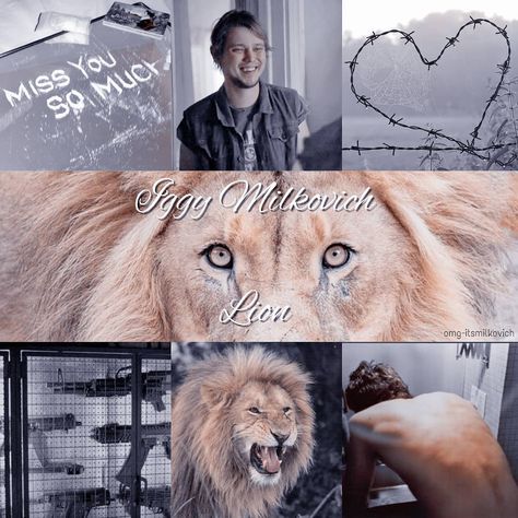 You're under my skin, man on Instagram: “MILKOVICH SIBLINGS | series: animals 🐾 Iggy Milkovich x aesthetic #mandymilkovich #mickeymilkovich #iggymilkovich #milkovich #shameless…” Iggy Milkovich, X Aesthetic, Under My Skin, My Skin, Body Works, Bath And Body Works, Bath And Body, Bath, Skin