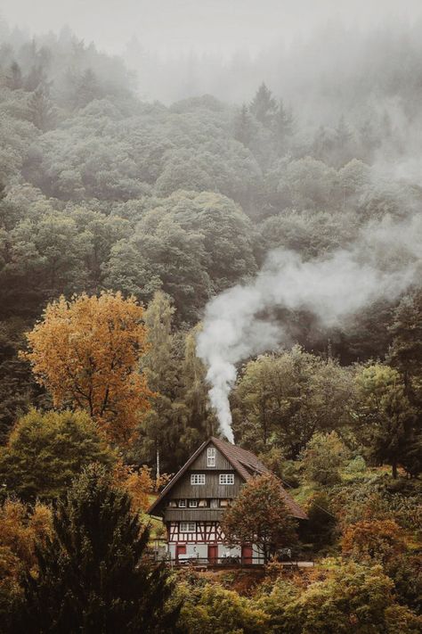 Tiny House Rentals, Cabin In The Woods, Street Racing, Into The Woods, Forest House, Cabins In The Woods, Nature Aesthetic, Pretty Places, Black Forest