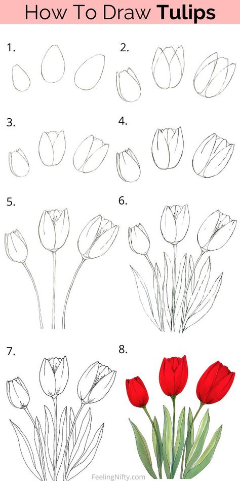 🎨 Learn to draw stunning tulips with our fun and easy step-by-step tutorial! Master the basics of drawing and create your own tulip paradise. Perfect for kids, teens and adults, including beginners! 🌷   Fill in your tulip drawing with your choice of acrylics, watercolors, markers, crayon or pencil. #tulip #tulipart #spring #drawing #howtodraw #flowerdrawing #tulipdrawing Beginner Art Drawing Step By Step, Canvas Painting Tulips Easy, Basic Arts Drawing, How To Drawing Flower, Tulip Flower Drawing Simple, Flower Drawing Beginner, How To Draw Field Of Flowers, Basic Art For Beginners, Drawing Of A Tulip