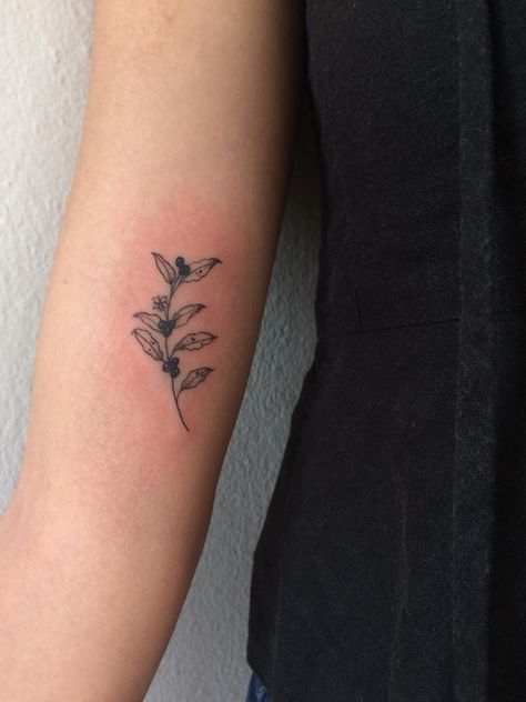 Coffee Flower Tattoo Minimalist, Coffee And Flowers Tattoo, Aesthetic Coffee Tattoo, Coffee Cherry Tattoo, Coffee Bean Plant Tattoo, Coffee Plant Tattoo Minimalist, Coffee Leaf Tattoo, Coffee Tree Tattoo, Coffee Branch Tattoo