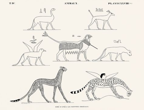 Public Domain Art Nouveau, Ancient Egypt Animals, Egypt Animals, Illustration Of Animals, Egyptian Artwork, Egyptian Drawings, Vintage Egypt, Free Illustration Images, Ancient Egypt Art