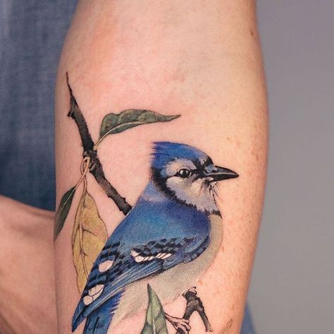 Bluejay Tattoo, Anarchy Tattoo, Blue Jay Tattoo, Jay Tattoo, Peach Tattoo, Spade Tattoo, Steampunk Tattoo, Stim Board, Flower Tattoo Arm