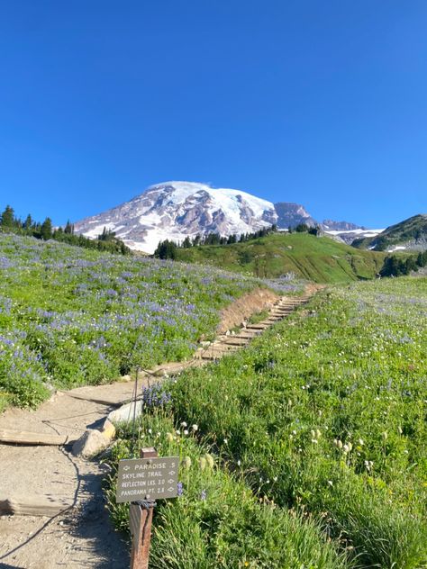 Bellevue Washington Aesthetic, Summer In Washington State, Bellingham Washington Aesthetic, Seattle Summer Aesthetic, Washington State Summer, Washington State Aesthetic, Washington Aesthetic, Seattle Aesthetic, Pnw Summer