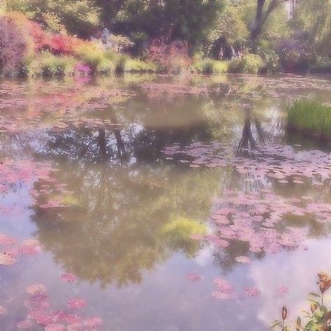 beauty flowers nature fairy magical aesthetic ethereal love stunning leaves forest plants unreal inspo coquette cottage core lake Cottagecore Kawaii, Soft Pink Theme, Ethereal Aesthetic, Fairy Aesthetic, Pretty Landscapes, Pink Themes, Pretty Photos, Aesthetic Images, Nature Aesthetic