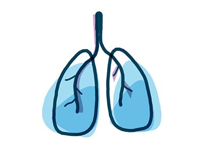 Just Breathe by Blair Culbreth - Dribbble Breath Illustration, Breathing Animation, Infographic Science, Breathing Gif, Science Gif, Food Safety Posters, Best Cough Remedy, Natural Decongestant, Icon Animation