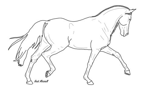 Dressage Horse Trot 2 by ThreeHoundsGraphics Horse Lineart, Horse Drawing Tutorial, Cowboy Artwork, Horse Outline, Drawing Horse, Animal Line Drawings, Horse Animation, Horse Story, Horse Sketch