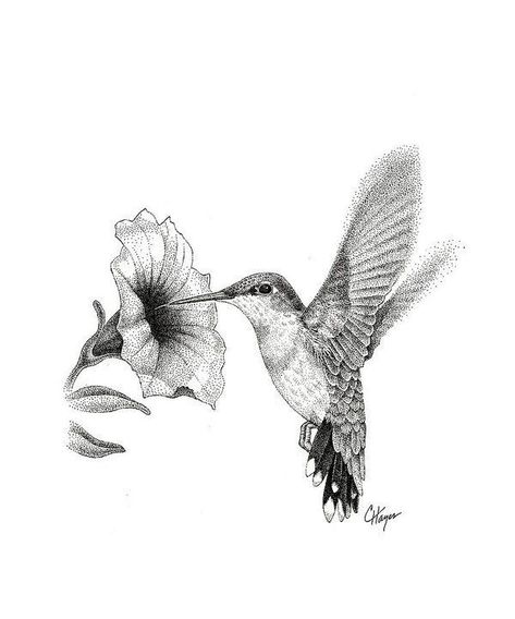 Hummingbird Tattoo Black, Hummingbird Sketch, Hummingbird Flower Tattoos, Hummingbird Drawing, Flor Tattoo, Vogel Tattoo, Hummingbird Painting, Stippling Art, Hummingbird Flowers