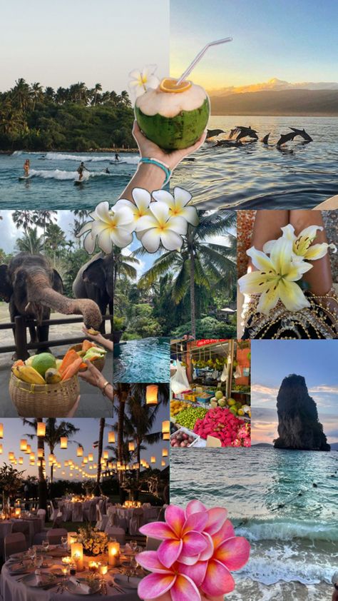 #thailand #summer #vacation #tan #coconut #flowers #lanterns #elephant #fruit #dolphins #lily #jewlery Thailand Pictures, Travel Collage, Vacation Mood, Digital Storytelling, Dream Travel Destinations, Travel Images, Summer Bucket Lists, Travel Inspired, Scenic Landscape