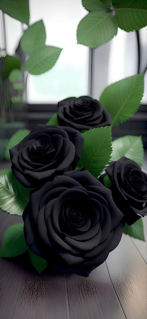 Rose Art Aesthetic, Black Rose Art, Black Flowers Wallpaper, Best Flower Wallpaper, Black Roses Wallpaper, Rose Flower Photos, Colourful Wallpaper, Gothic Flowers, Hd Dark Wallpapers