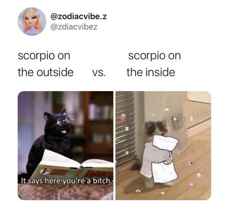 Scorpion Sign, Scorpio Things, Zodiac Mind Scorpio, Scorpio Funny, Scorpio Eyes, Zodiac Quotes Scorpio, Gemini And Scorpio, Astrology Scorpio, Zodiac Signs Chart