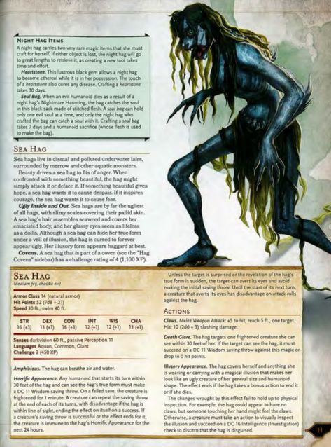 Sea Hag Dnd, Dnd Siren, Dnd Monster Manual, Elf Races, Monsters Dnd, 5e Monsters, Sea Hag, Ocean Monsters, Dnd Monster