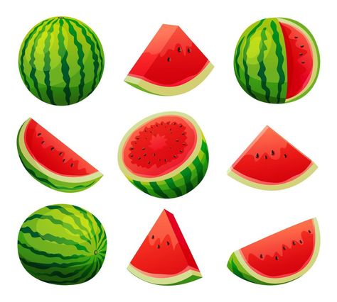 Watermelon Vector, Watermelon Clipart, Watermelon Illustration, Watermelon Art, Gold Photo Frames, Juicy Watermelon, Cut Watermelon, Timer Clock, Watermelon Slices