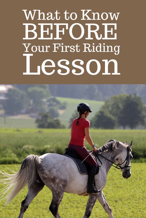 Thinking about starting horseback riding lessons? Here’s everything you need to know BEFORE your first lesson. #HorsebackRiding #HorseTips #HorseOwner English Horseback Riding, Horseback Riding Lessons, Horse Lessons, Equestrian Helmet, I Still Remember, Types Of Horses, Riding Lessons, Horse Tips, English Riding