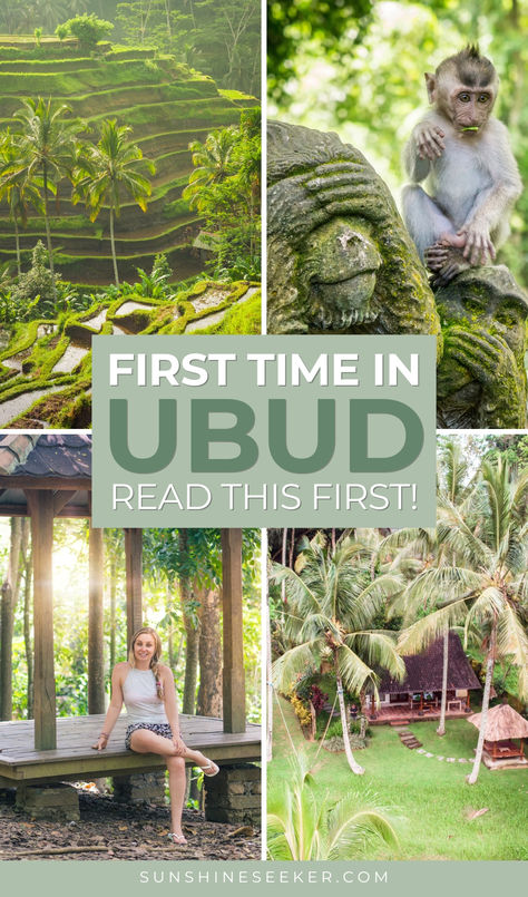 This Ubud itinerary is 14+ years in the making. It includes a taste of everything Ubud has to offer. From waterfalls and markets to monkeys and rice fields. Click through for a guide to everything you need to know before your first time in Ubud Bali. Ubud Rice Fields, Ubud Itinerary, Bali Rice Fields, Nusa Ceningan, Ubud Indonesia, Bali Ubud, Bali Travel Guide, Gili Island, Rice Fields