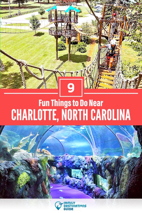 Interested in activities close to Charlotte? Tired of ideas about the top things to do in Charlotte because you’re looking for things NEAR Charlotte? We’re FamilyDestinationsGuide, and we’re here to help: Discover the most fun places to go, the top places to visit, and the best things to do near Charlotte, NC - so you get memories that last a lifetime! #charlotte #charlottearea #charlottethingstodo #charlottewithkids #charlotteactivities #nearcharlotte #charlottetravel Fall In Charlotte Nc, Charlotte Nc Outfits, Charolette North Carolina Things To Do In, Charlotte Nc Nightlife, Hidden Gems In Charlotte Nc, Charollete North Carolina, Hiking Near Charlotte Nc, Things To Do Charlotte Nc, Day Trips From Charlotte Nc