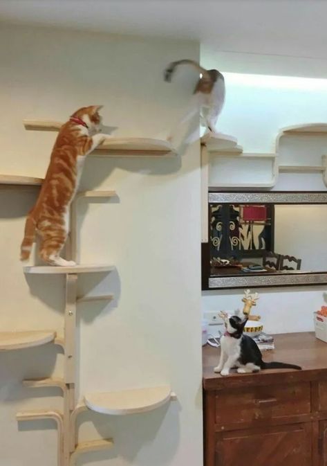 Ikea Cat Tree, Ikea Cat, Katt Diy, Cat Climbing Wall, Katt Grejer, Chat Diy, Cat Wall Shelves, Diy Cat Tree, Cat Towers