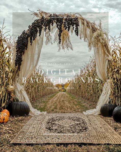 ✨New Autumn Collection: Cornfield Archway. 🎃🌽Step into the serenity of the countryside with our Rustic Harvest Archway digital backgrounds. Ideal for autumn-themed portraits, rustic wedding composites, and seasonal photo sessions. These backgrounds aren’t just tools; they are your partner in the journey to greater recognition and revenue with your clientele. 🛍️ Shop at the link in bio. 🥰 #AutumnPhotography #engagementphotography #RusticArchways #DigitalBackgrounds #HarvestSeason #FallPhot... Cornfield Wedding Ceremony, Cornfield Wedding, Wedding Venue Business, Venue Business, Corn Field, Autumn Collection, Harvest Season, Planning Wedding, Digital Backgrounds