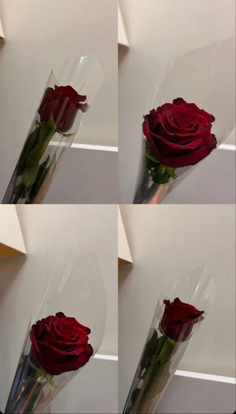 is white the original colour of roses?
was red roses created because such princess’ blood was stained on a garden full of white roses Rose Flower Photos, Estilo Hijab, Bff Hands Aesthetic, Nothing But Flowers, Cool Instagram, Flower Therapy, Beautiful Bouquet Of Flowers, Cool Instagram Pictures, Cute Selfies Poses