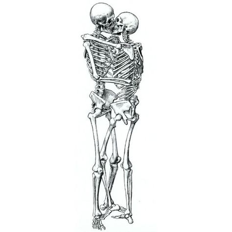 fuckyeah, perfection skeleton kiss ❤ liked on Polyvore featuring fillers, drawings, doodles, backgrounds, art, text, quotes, scribbles, saying and phrase Tumblr Outline, Skeleton Love, Arte Doodle, Skeleton Drawings, Horror Vintage, Skeleton Tattoos, Black And White Sketches, Skeleton Art, A Skeleton