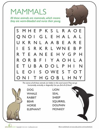 Worksheets: Animal Word Search: Mammals                                                                                                                                                                                 More Mammals Worksheet, Animal Word Search, Mammals Activities, Ocean Mammals, Kids Word Search, Animal Classification, 1st Grade Science, Science Words, 2nd Grade Worksheets