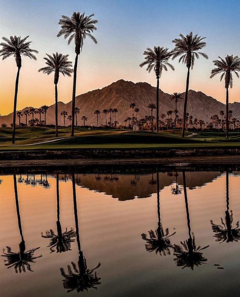 Coachella Valley | La Quinta @CoachellaValley Photo! - by @chad.vh | Instagram Palm Springs Style, Royalty Aesthetic, Coachella Valley, I Want To Travel, Natural Earth, Palm Springs, Springs, Pop Up, California