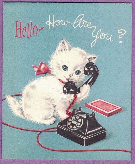 Kitten With Blue Eyes, Kittens Vintage, Hello How Are You, Postcard Paper, Kitten Birthday, White Kitten, Inline Skates, White Kittens, Retro Cats