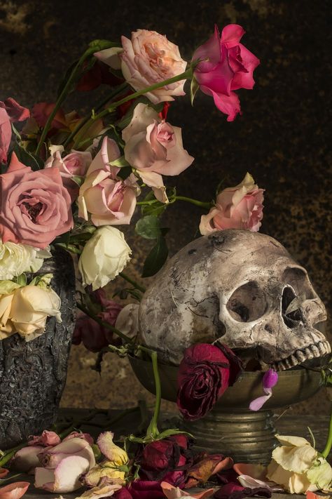 Still Life Pictures, Object Photography, Dutch Artists, Still Life Art, Animal Skulls, Memento Mori, Still Life Painting, Life Photography, Still Life Photography