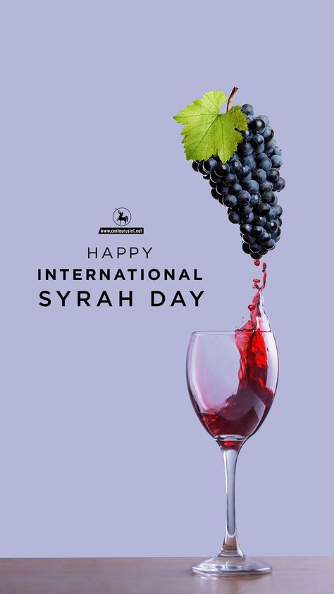 International Wine Day, Syrah Wine, Wine Advertising, Alcohol Facts, Wine Ideas, Wine Rose, Blackberry Wine, Pinot Blanc, Dessert Wine