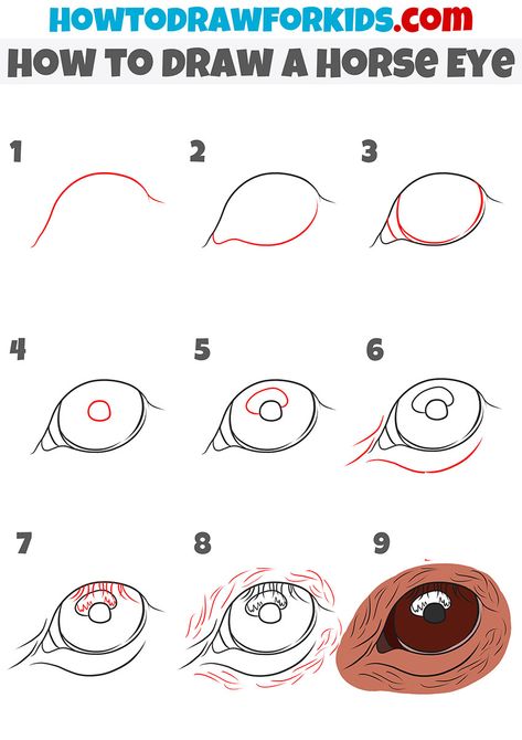 how to draw a Horse Eye step by step Horse Eye Drawing Tutorial, Horse Sketch Easy Step By Step, Drawing Horse Eyes, How To Paint Horse Eyes, Horse Eye Sketch, How To Draw A Horse Eye, Horse Face Drawing Step By Step, Horse Painting Tutorial Step By Step, How To Draw A Horse Head Step By Step