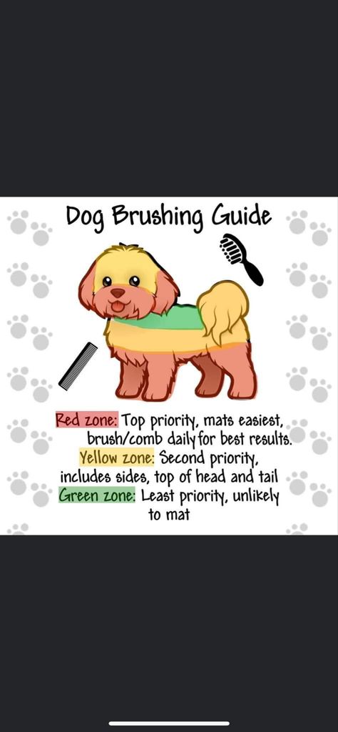 Dog Grooming Chart, Dog Grooming Ideas Business, Tiny Dog Grooming Salon Ideas, Dog Grooming Advertising Ideas, Dog Grooming Outfits, Dog Groomer Tattoo Ideas, Grooming Business Ideas, Dog Groomer Salon Ideas, Dog Grooming Tattoo Ideas