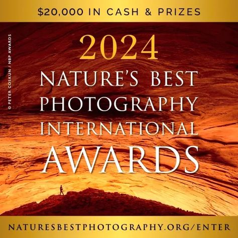 The 2024 Nature’s Best Photography International Awards is a prestigious event that invites a global audience of nature photographers to showcase their talent. Whether amateur or professional, photographers... Nature Photographers, Photography Competitions, Photography Contests, Nature Photographs, Best Photography, Latest News, Photographer, Photography, Nature