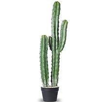 Fake Cactus Plants, Fake Cactus, Artificial Cactus, Pot Making, Cactus Western, Faux Cactus, Cactus Plant Pots, Plants For Home, Artificial Plants Indoor