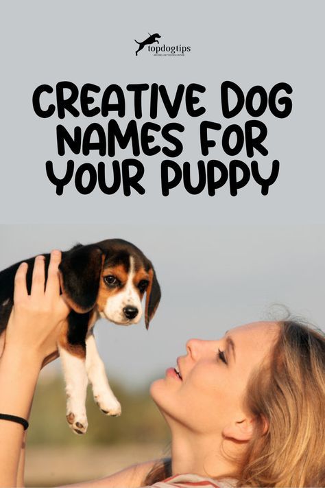 Creative Dog Names, Puppy Names Unique, Girl Dog Names Unique, Fat Puppies, Fun Names, Labrador Names, Popular Dog Names, Dog Names Unique, Girl Dog Names