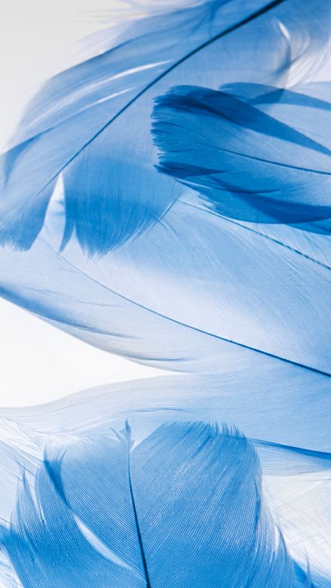 Pluma Phone Screen Wallpaper, Most Beautiful Wallpaper, Blue Aesthetic Pastel, Great Backgrounds, Samsung S8, Samsung S10, Backgrounds Phone Wallpapers, Wallpapers Iphone, Samsung Wallpaper