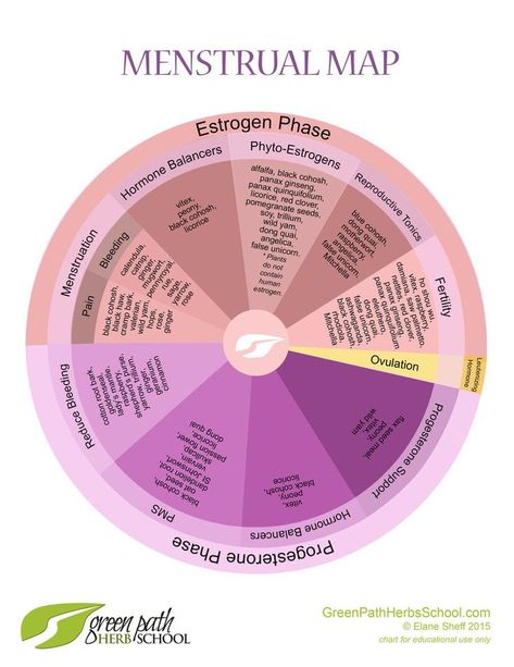 Menstruation, typically a taboo subject in our culture, can be a rich source of information about health and well-being for both women and their practitioners. But what is normal menstruation? Join herbalist Elaine Sheff of Green Path Herb School to take a deeper look at how to interpret the ferti Menstrual Cycle Chart, Ovulation Pain, Estrogen Hormone, Womb Healing, Cycle Syncing, Menstrual Health, Feminine Health, Hormone Balance, Hormone Health