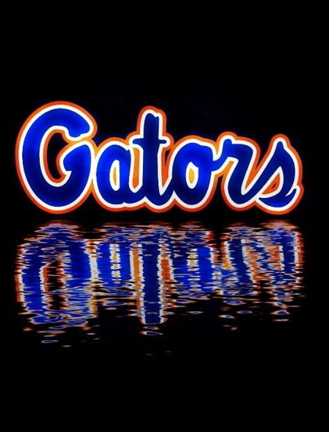 Gators Fla Gators, Florida Gators Wallpaper, Florida Gators Softball, Uf Gator, Uf Gators, Florida Football, Florida Gators Football, Chomp Chomp, Gators Football