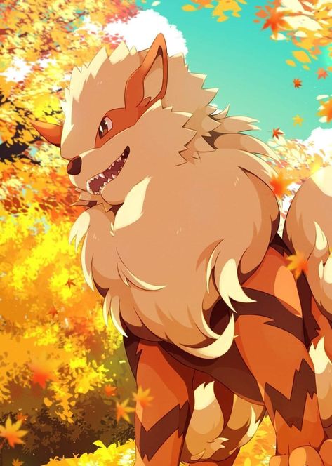 Pokemon Full Art, Real Pokemon, Pokemon W, Pokemon Photo, Pokemon Craft, Pokemon Backgrounds, Pokemon Oc, Pokemon Pokedex, Pokemon Eevee